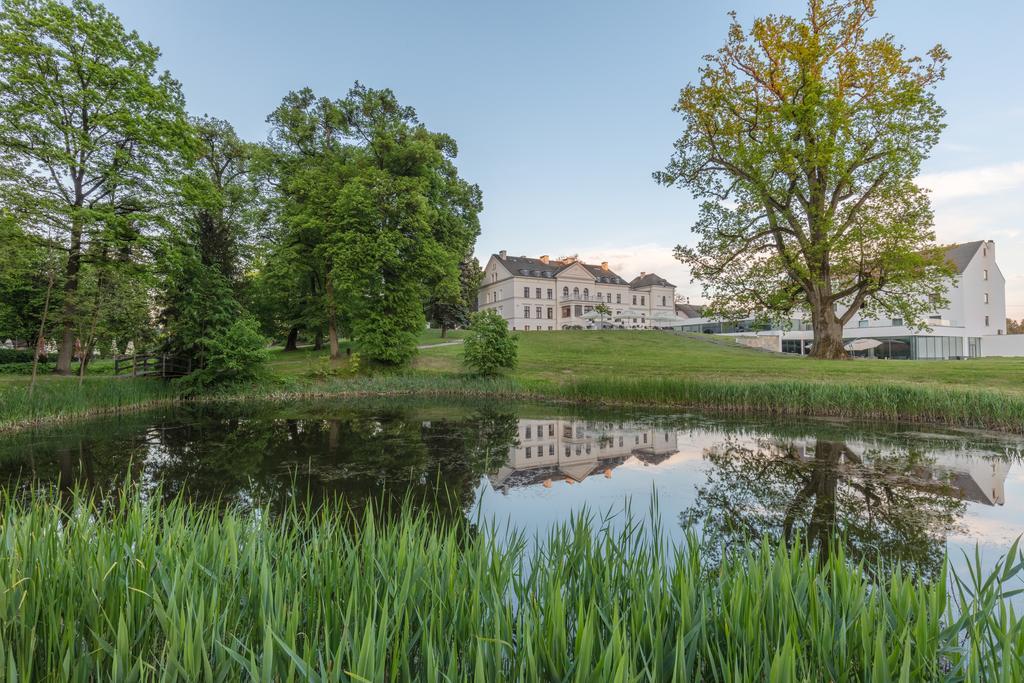 Hanza Pałac Wellness&SPA Warlubie Zewnętrze zdjęcie